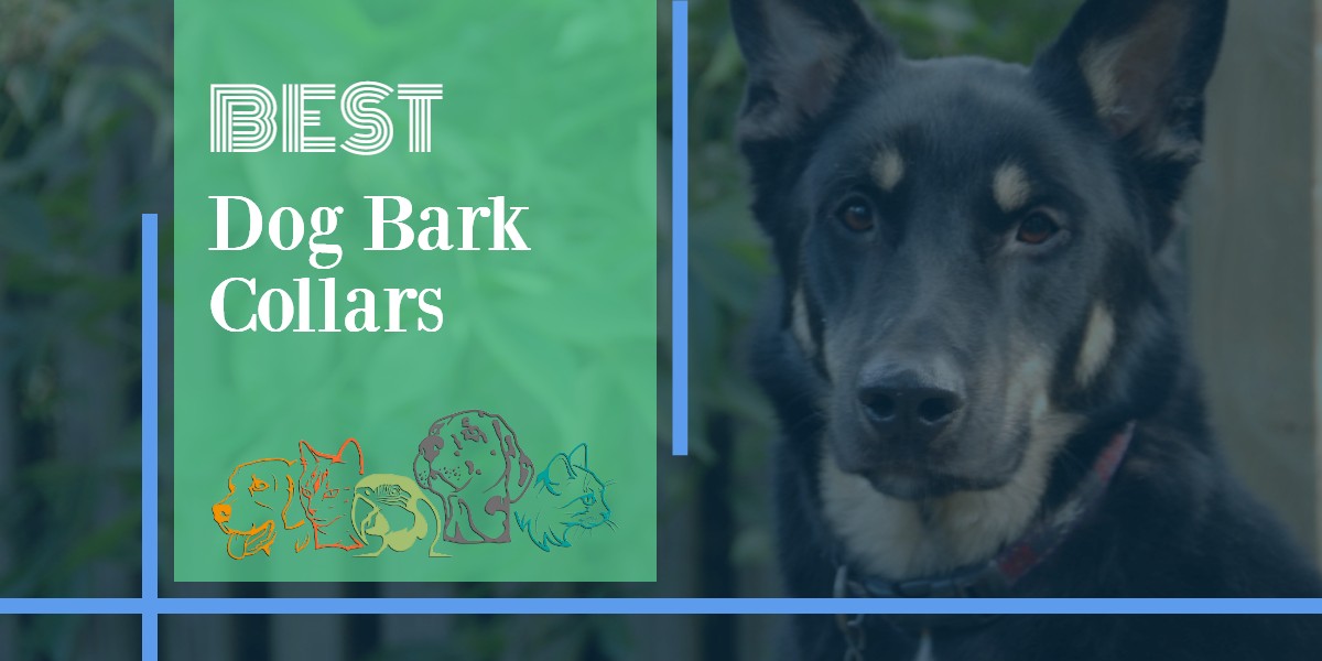 Dog Bark Collars