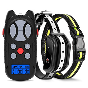 Flittor Shock Collar
