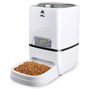 PetSafe Automatic Cat Feeder