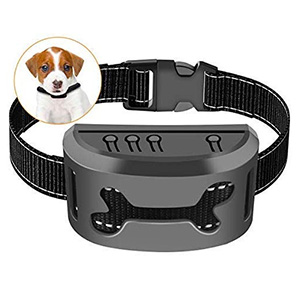 Rapchel Bark Collar